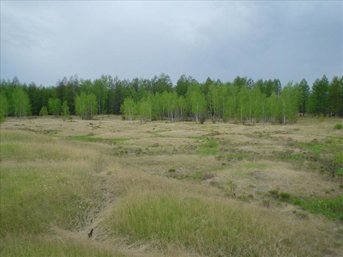 Frost cracks in Yakutia 1.jpg