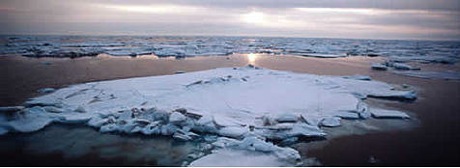 Artic Sea Ice On The Rebound