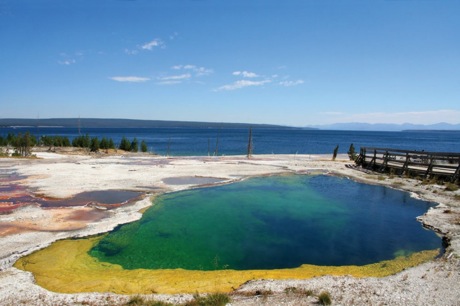 Yellowstone Really Needs To Go Back To Sleep