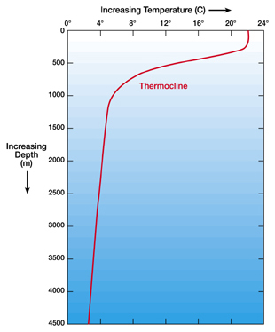 thermocline