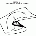 Obamacare and the Bifurcated Cusp Obamacare and the Bifurcated Cusp
