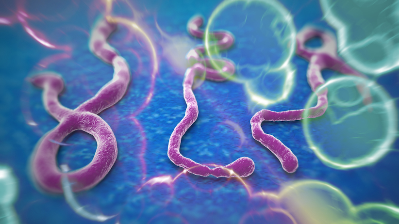 Ebola_Virus_Imaging_Wide